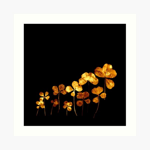 tréfle doré sur fond noir/golden clover on back background Art Print