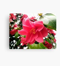 Flower Canvas Print