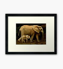 Strolling With Mom Framed Print