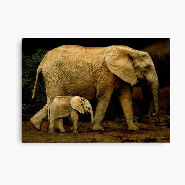 Strolling With Mom Canvas Print