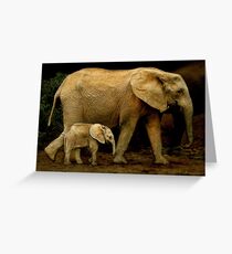 Strolling With Mom Greeting Card
