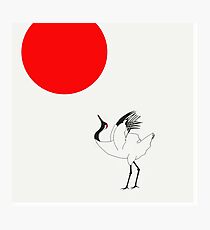 Sun Worshiper Japanese Crane Photographic Print