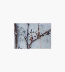 Branches abstract Art Board