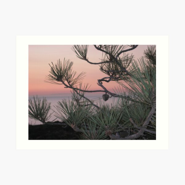 pastels & pines Art Print