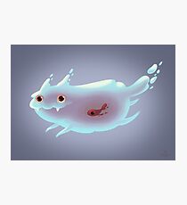 Ghost cat Photographic Print