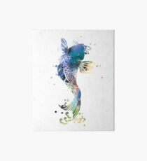 Koi Fish Art Board Print