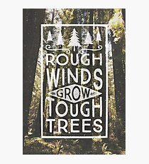 TOUGH TREES Photographic Print
