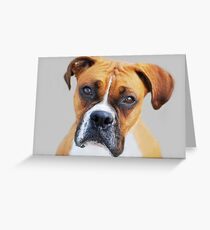 "I understand..." Greeting Card