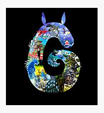 ghibli Photographic Print