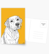 Labrador Dog Portrait Postcards
