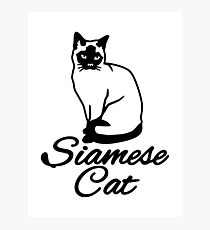 Lámina fotográfica gato siames