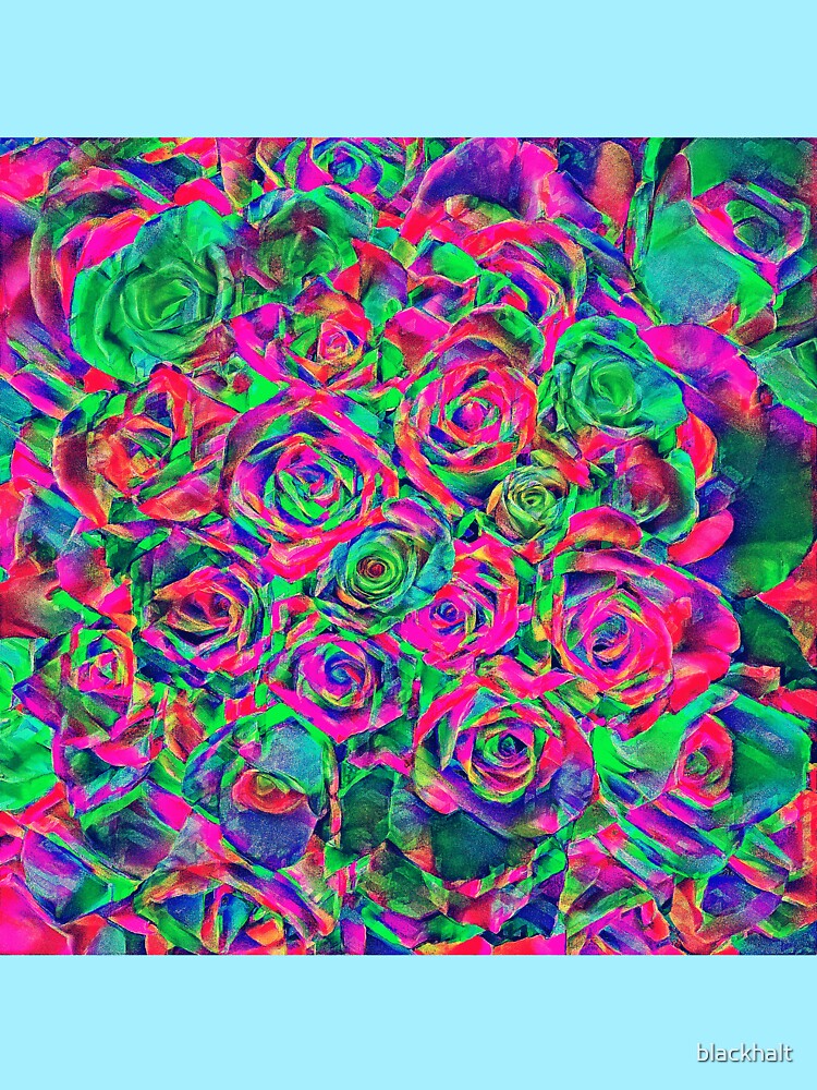 Roses by blackhalt