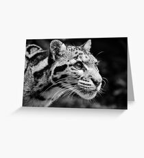Wolkenleopard 1 - B & W Grußkarte