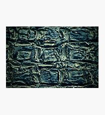 grate Photographic Print