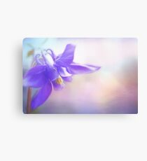Painted Purple Columbine Canvas Print