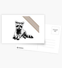 Raccoon - Critter Love Collection 6 of 6 Postcards