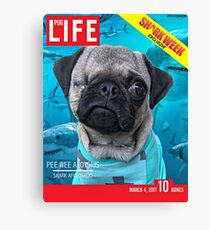 Pee Wee Mops Leben Magazin Leinwanddruck