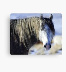 Wild Beauty Canvas Print