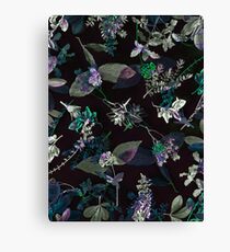 Precious Nature 2 Canvas Print