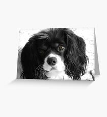 Puppy Love Greeting Card