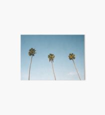 Three Palm Trees Blue Sky California Art Board