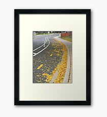 Bike Lanes Framed Print