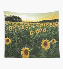 Tela decorativa Campo de girasol
