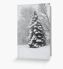 Snowy Tree Greeting Card