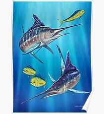 Double Trouble - Striped Marlin & Mahi Mahi Poster