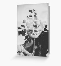 august song Greeting Card