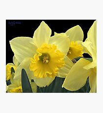 Spring Photographic Print