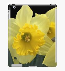 Spring iPad Case/Skin