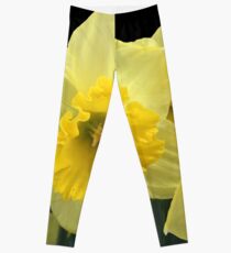 Spring Leggings