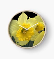 Spring Clock