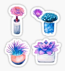 Succulent Cactus Pattern Sticker