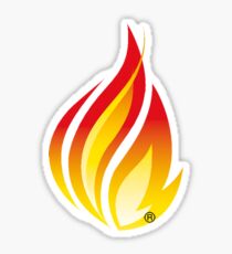 FHIR Flame ® Logo Sticker