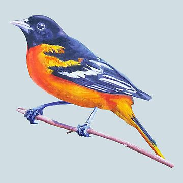 Cute Oriole Bird Illustration T-Shirt