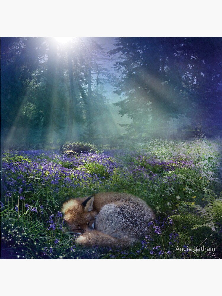 Bluebell Dawn by AngelaBarnett
