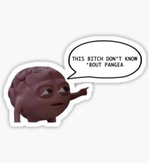 Bitch Don't Know 'Bout Pangea Sticker