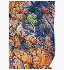Tree Poster