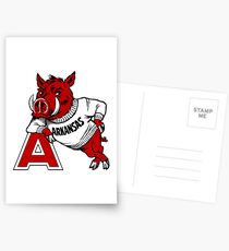Vintage Arkansas Razorback Postcards