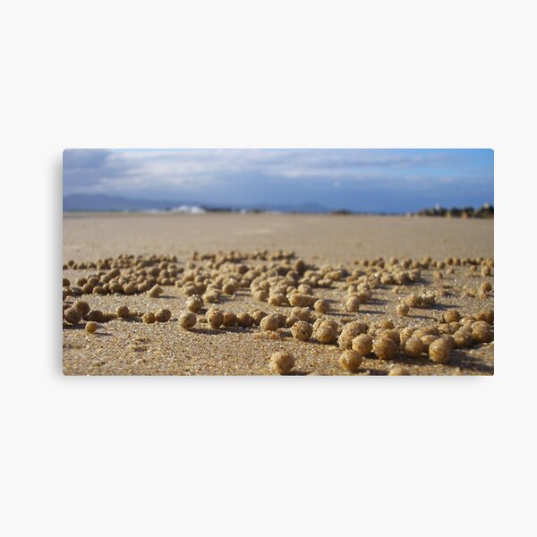 Sand Pebbles Canvas Print