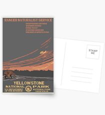 Nationalparks 2050: Yellowstone Postkarten