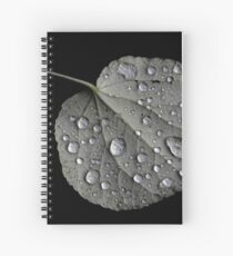 Rain Drops on a Leaf Spiral Notebook