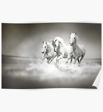 Wild White Horses Poster