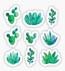 Aquarell Sukkulenten Sticker