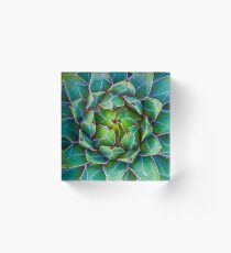 Succulent succulent Acrylic Block
