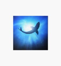 Requin Impression rigide