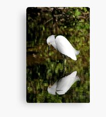 Mirror, mirror Canvas Print