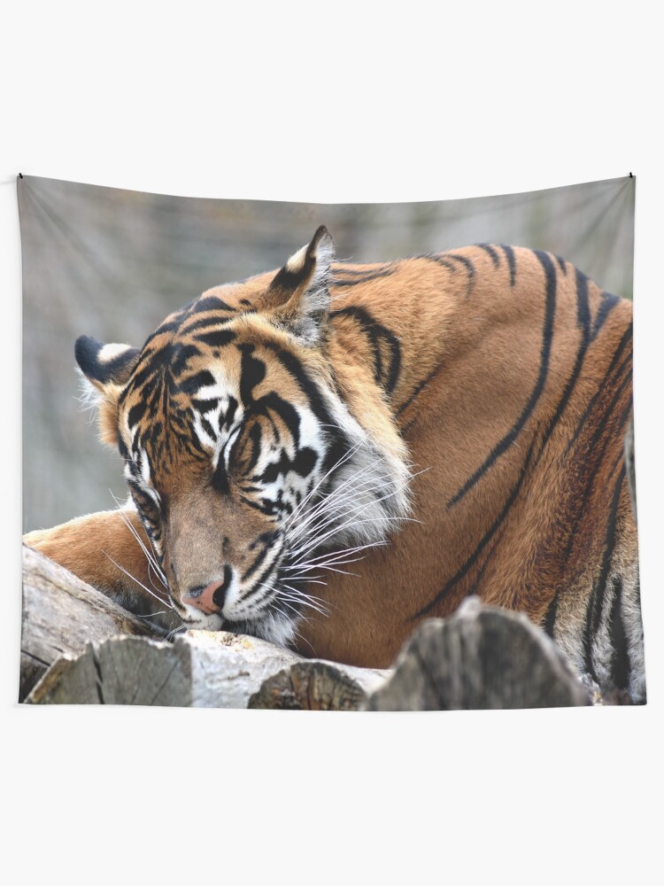 Alternate view of Sleeping tiger Tapestry